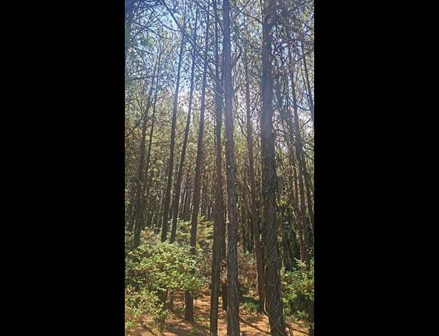 1 BEDROOM HOUSE FOR SALE IN BREAUNANDA